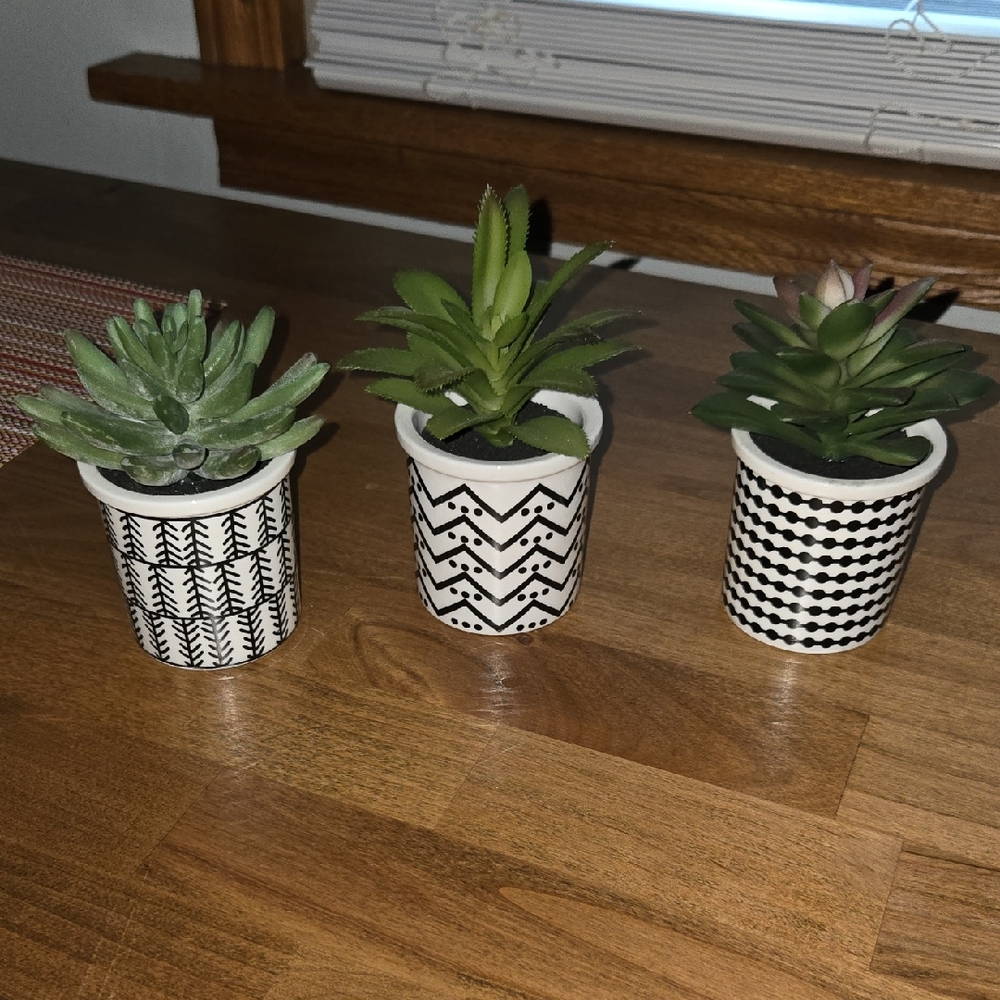Black and White Patterned Succulent Pots